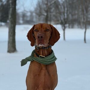 Meet your Posher, Anthony